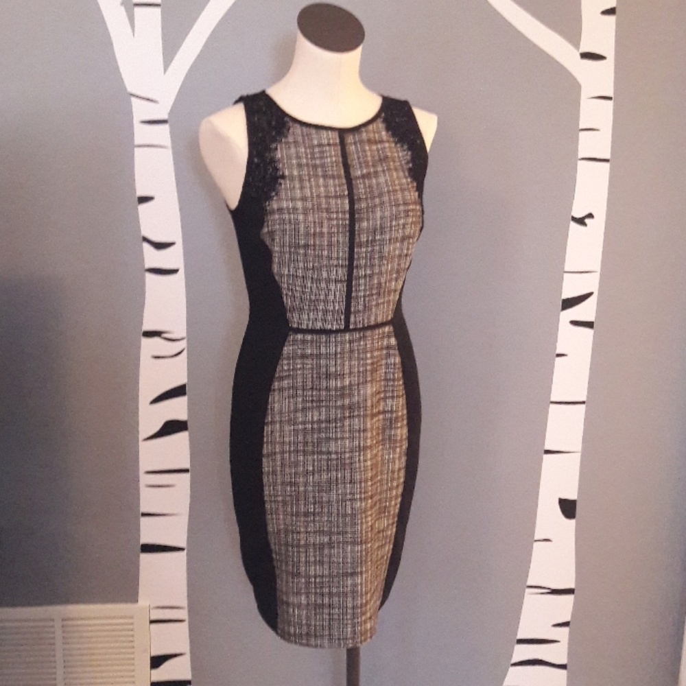 Gorgeous Loft dress
